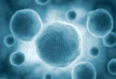 低压无油机推动发酵工程的前进